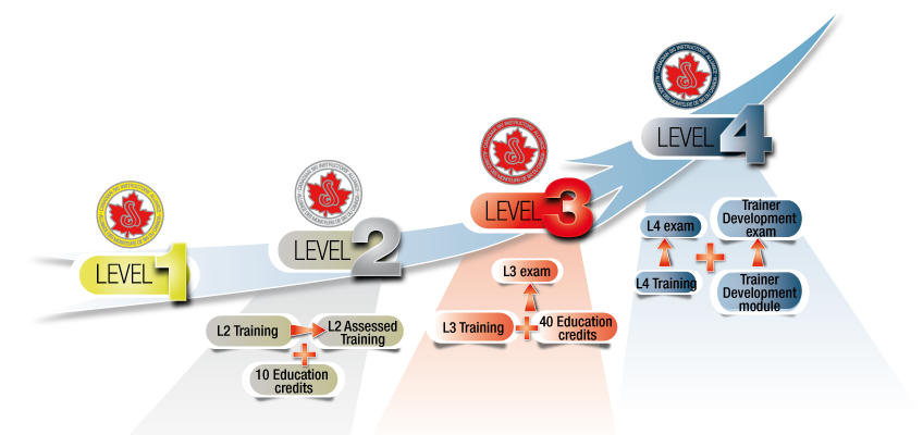CSIA Level Evolution