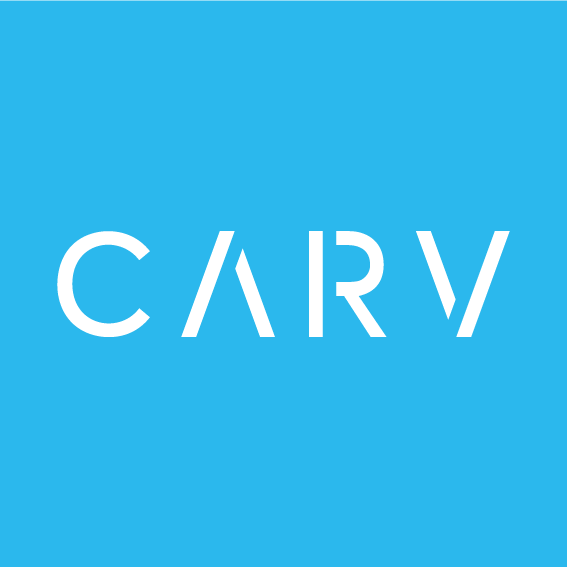 Carv wordmark 02