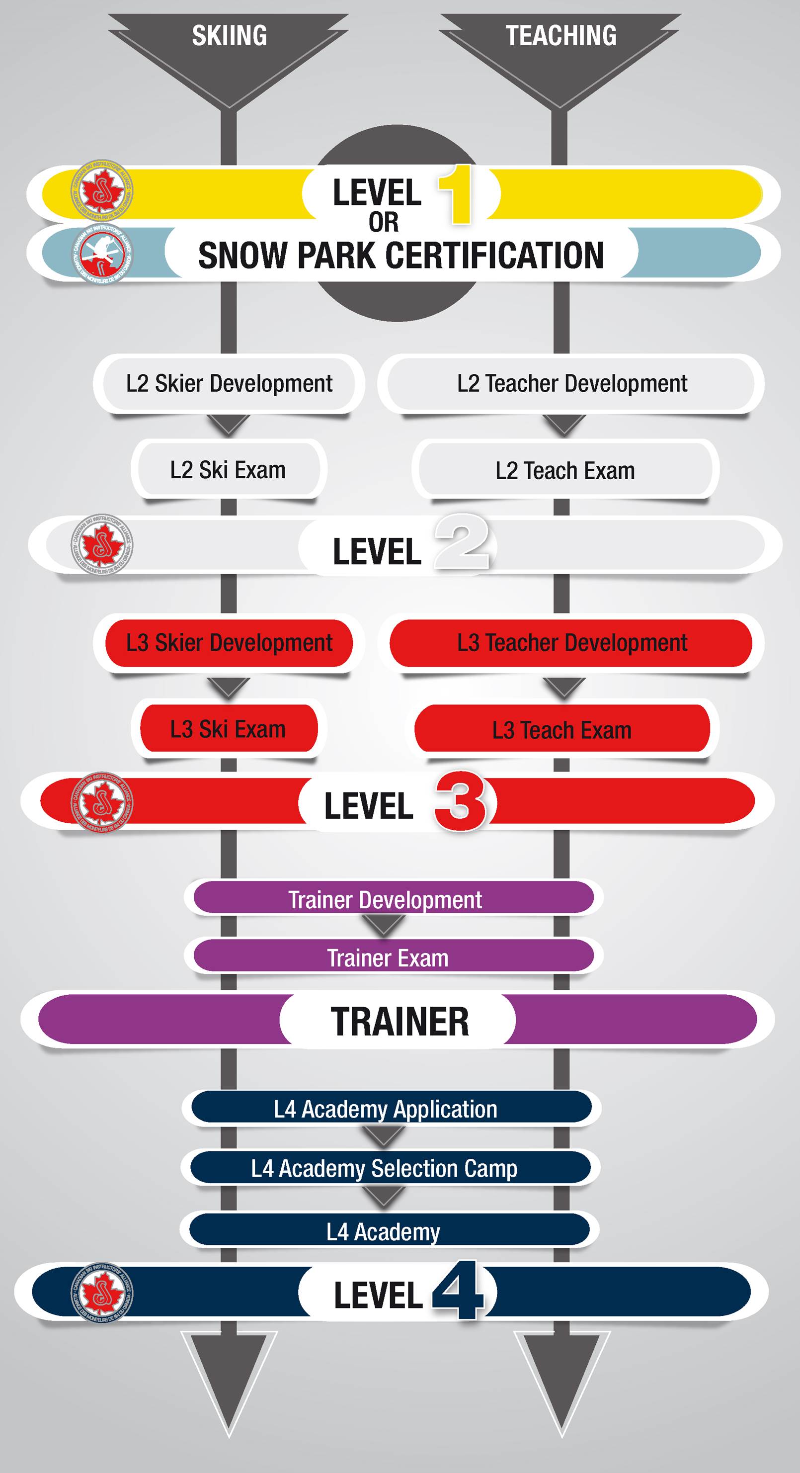 Pathway Graphic final web 2020 2021 EN