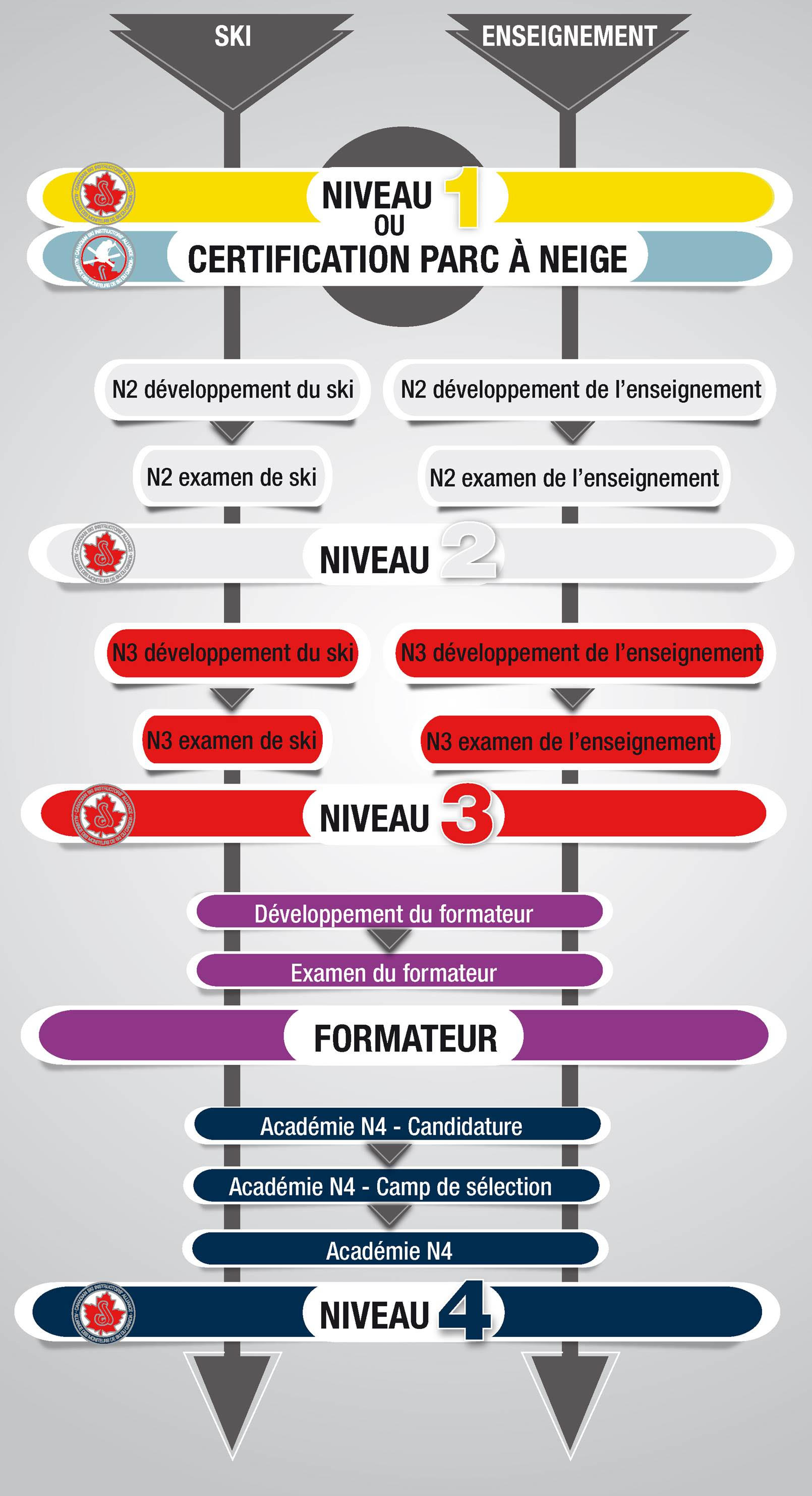 Pathway Graphic final web 2020 2021 FR