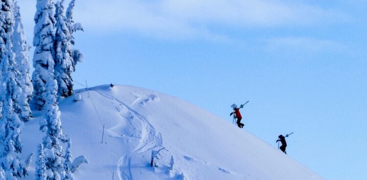 WHAT’S NEW IN BC/YUKON?