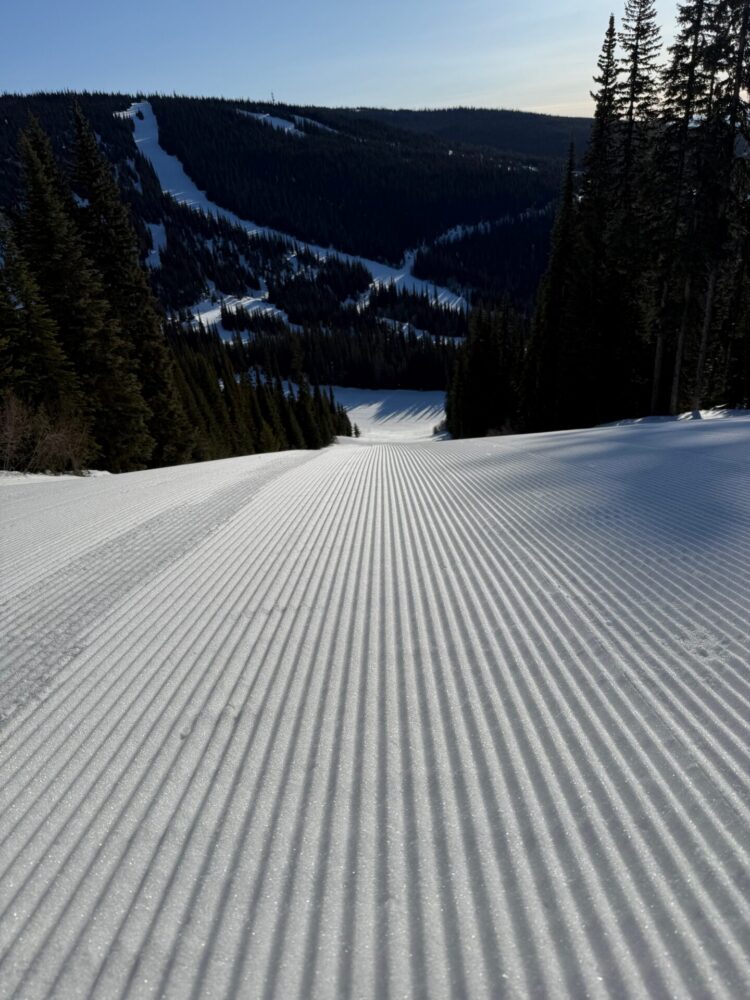 WHAT’S NEW IN BC/YUKON?