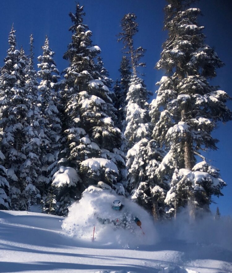 WHAT’S NEW IN BC/YUKON?