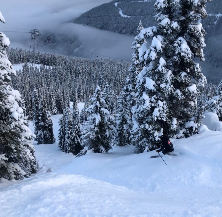 WHAT’S NEW IN BC/YUKON?
