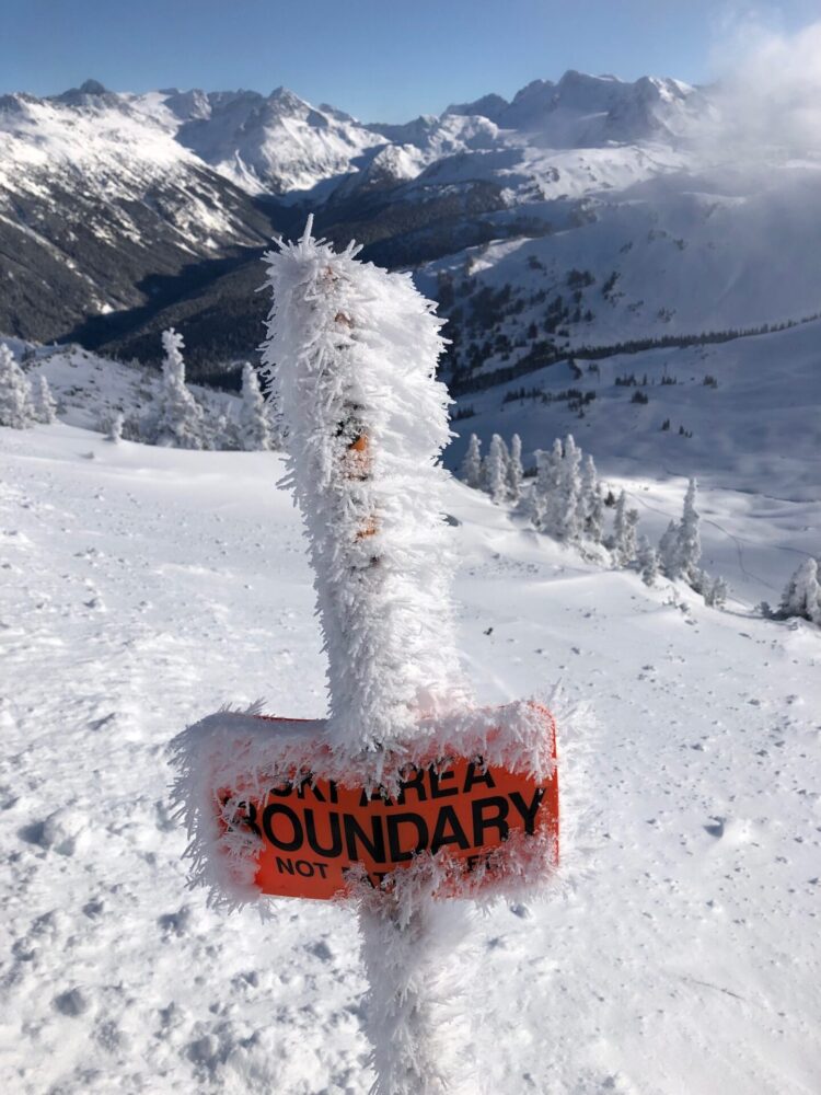 WHAT’S NEW IN BC/YUKON?