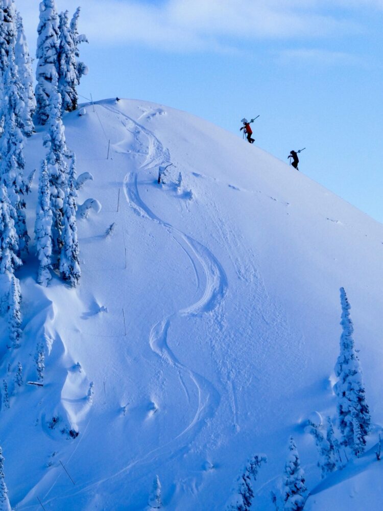 WHAT’S NEW IN BC/YUKON?