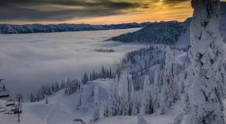 WHAT’S NEW IN BC/YUKON?