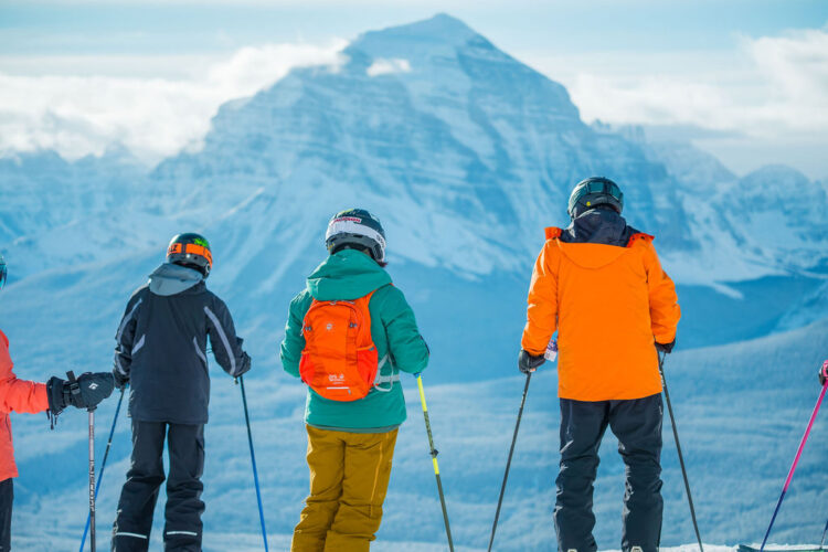 UPCOMING CSIA NATIONAL BOARD OF DIRECTORS ELECTION